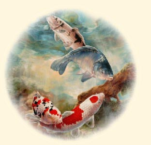 Karpfen und Koi im Himmel